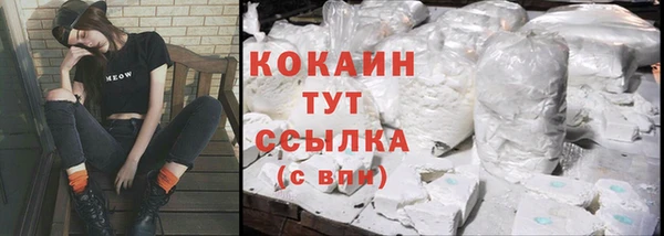 крисы Дмитров