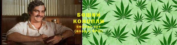 крисы Дмитров