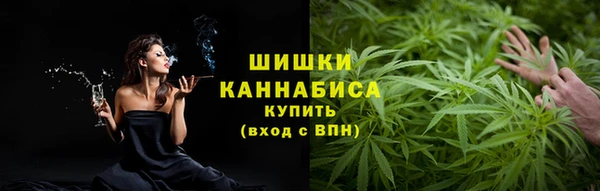 крисы Дмитров