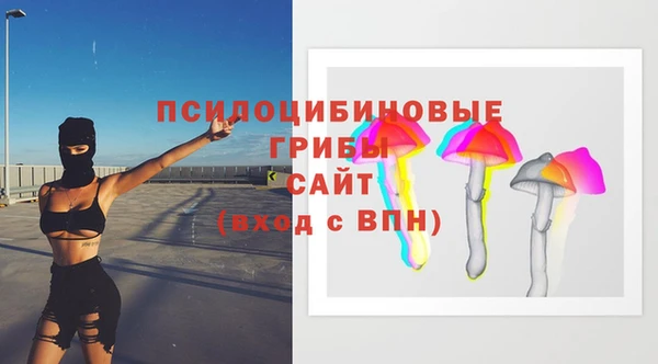 крисы Дмитров