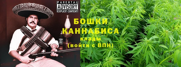 крисы Дмитров